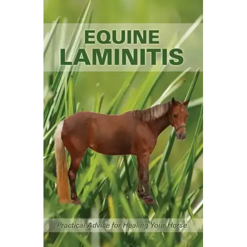 Equine Laminitis
