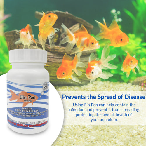 Fish Pen 500mg Capsules for Aquarium Fish – 30 Count – Water Care Support Paw and Tail Supply