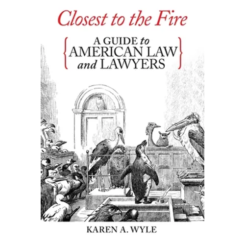 Closest to the Fire: A Guide to American Law and Lawyers