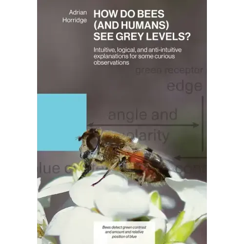 How Do Bees (and Humans) See Grey Levels?: Intuitive, logical, and anti-intuitive explanations for some curious observations - Paperback
