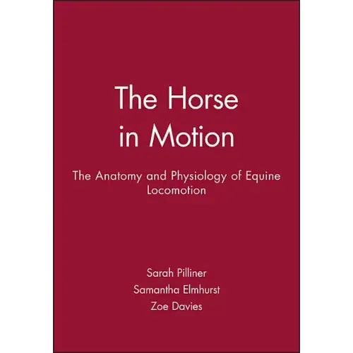 Horse Motion