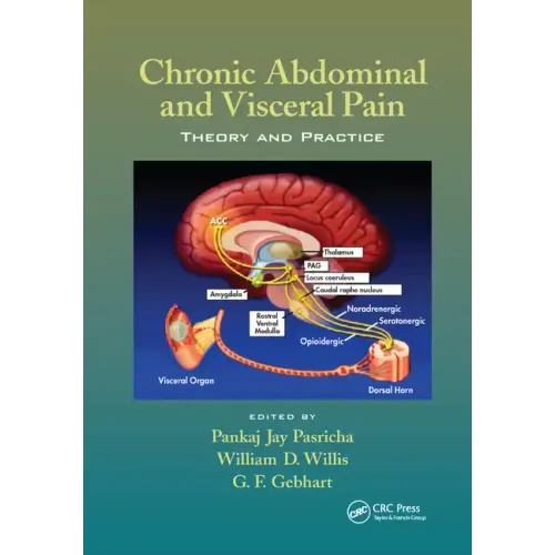 Chronic Abdominal and Visceral Pain: Theory and Practice