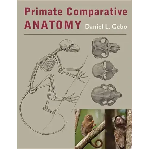 Primate Comparative Anatomy