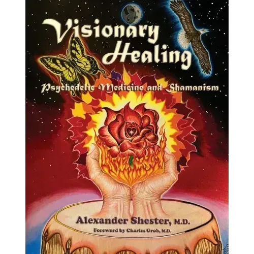 VISIONARY HEALING Psychedelic Medicine and Shamanism - Paperback
