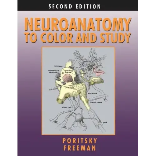 Neuroanatomy to Color and Study
