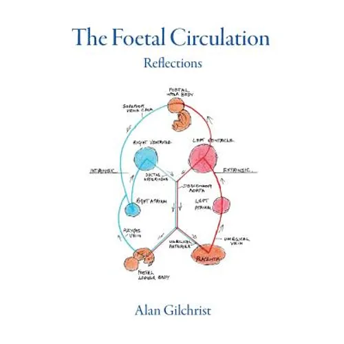 The Foetal Circulation