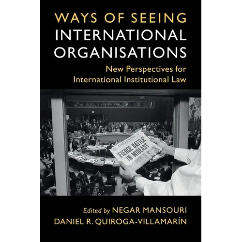 Ways of Seeing International Organisations