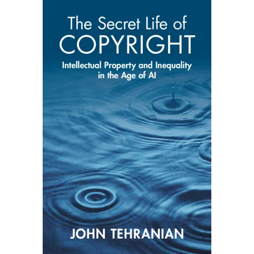 The Secret Life of Copyright: Intellectual Property and Inequality in the Age of AI
