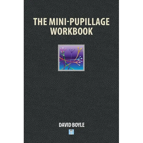 The Mini-Pupillage Workbook
