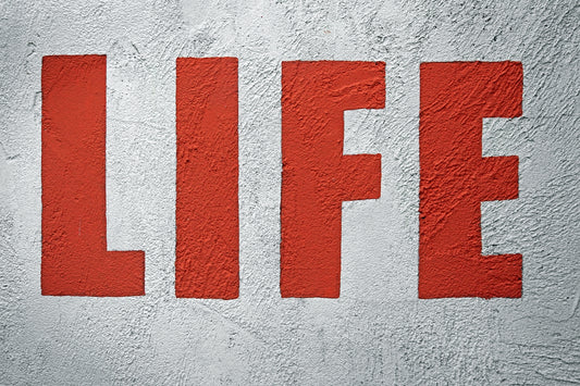 The word life painted in red on a textured wall.
