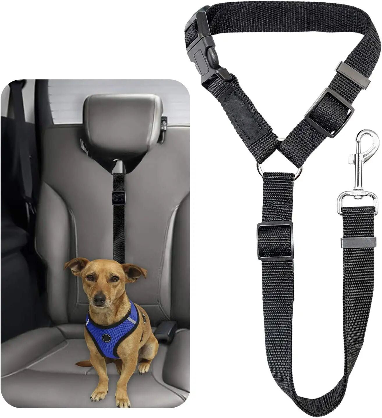 Pet dog safety belt large and medium-sized dog travel vehicle rope car safety buckle fixed rope car riding tool eprolo