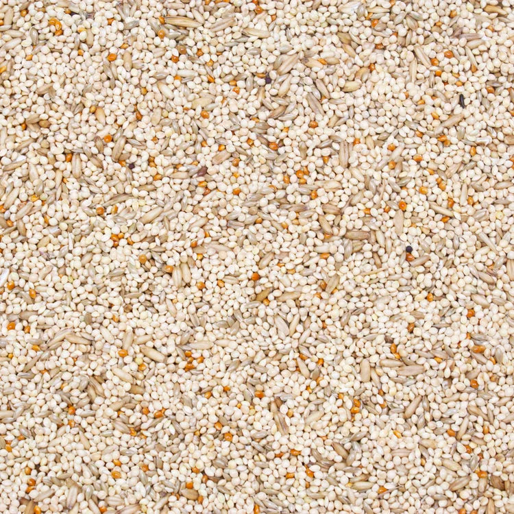Higgings Supreme Finch Food 50 lbs. Natural Seed Blend for Healthy Birds Paw and Tail Supply