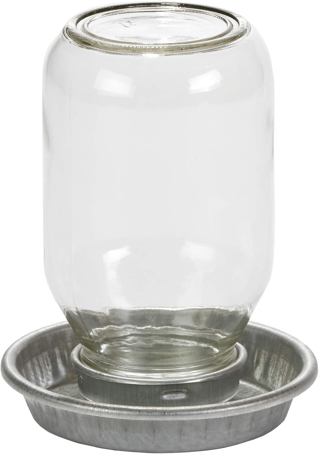 Mason Jar Baby Chick Feeder & Waterer Set - Galvanized Base with Glass Jar Bundle Paw and Tail Supply