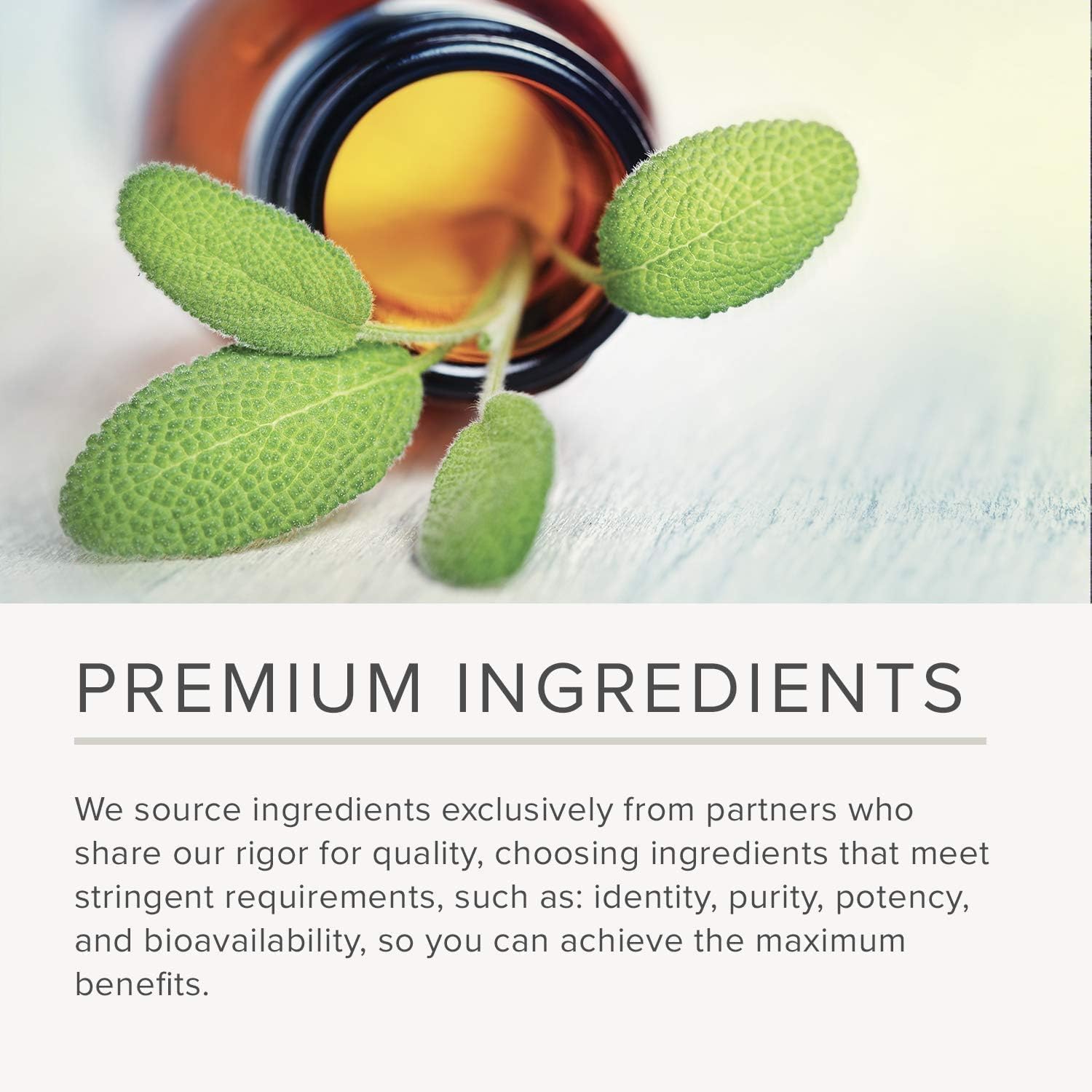 NusaPure Quercetin with Bromelain 500mg |120 Veggie Caps | 43 Fruit Veggie Grain Herbs Enzyme Probiotic Blend | Non-GMO, Vegan, Bioperine NusaPure