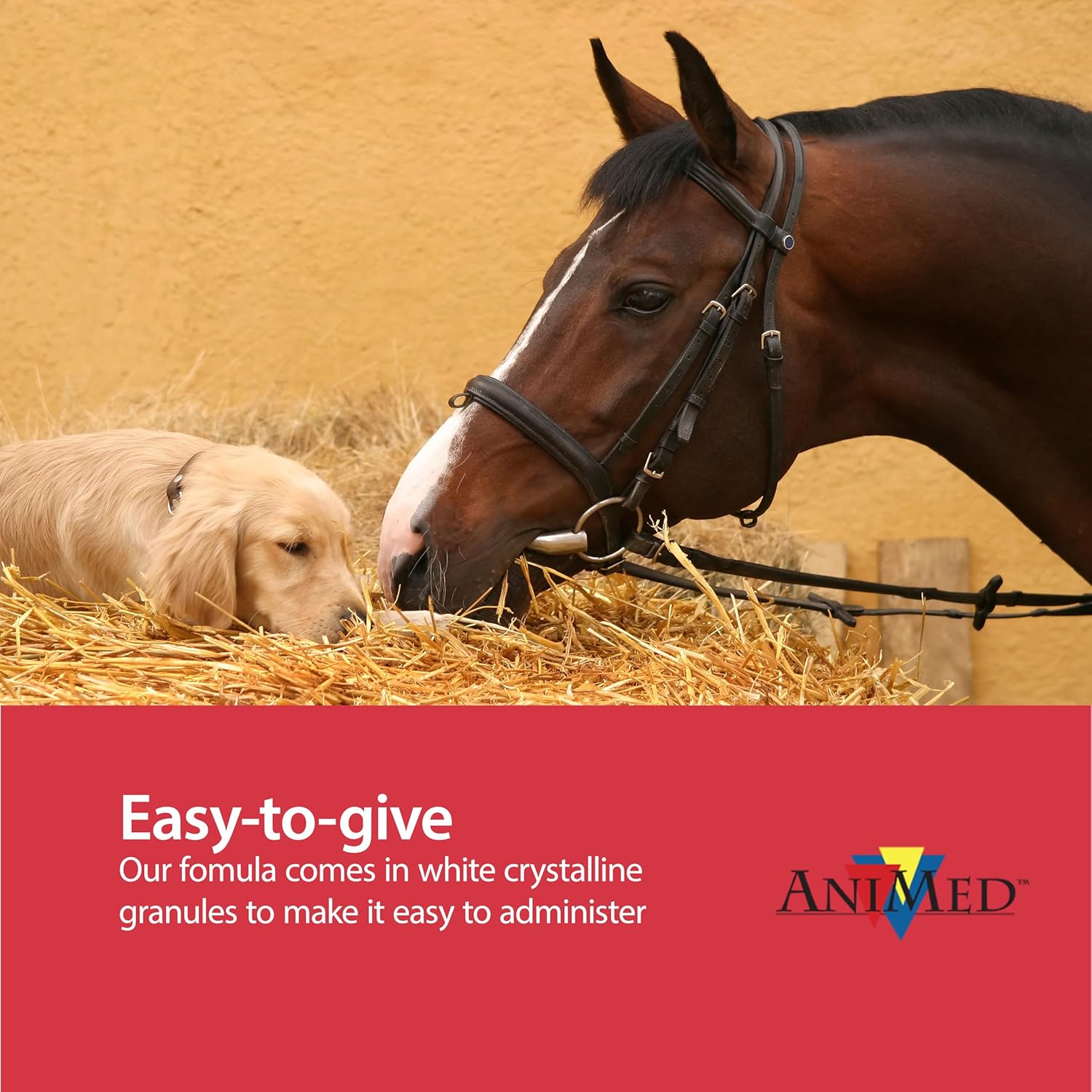 AniMed Pure MSM Horse Joint Supplement Horse Care Support USA Made 16 oz. Paw and Tail Supply