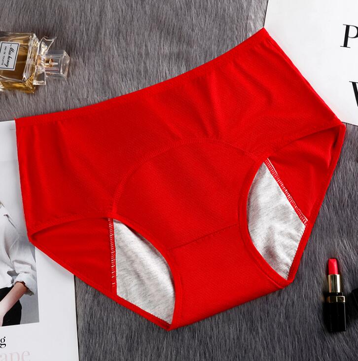 1PC Feminine Hygiene Breathable Mesh Menstrual Period Panties Leak Proof Women Underwear Physiological Pants Female Briefs eprolo