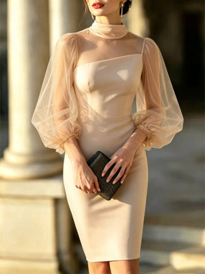 Mock Neck Sheer Puff Sleeve Bodycon Dress