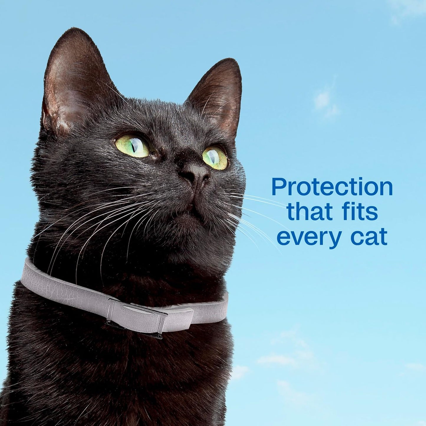 Adams Plus Flea & Tick Collar for Cats Water-Resistant Up to 7 Months Protection 2PCK Paw and Tail Supply