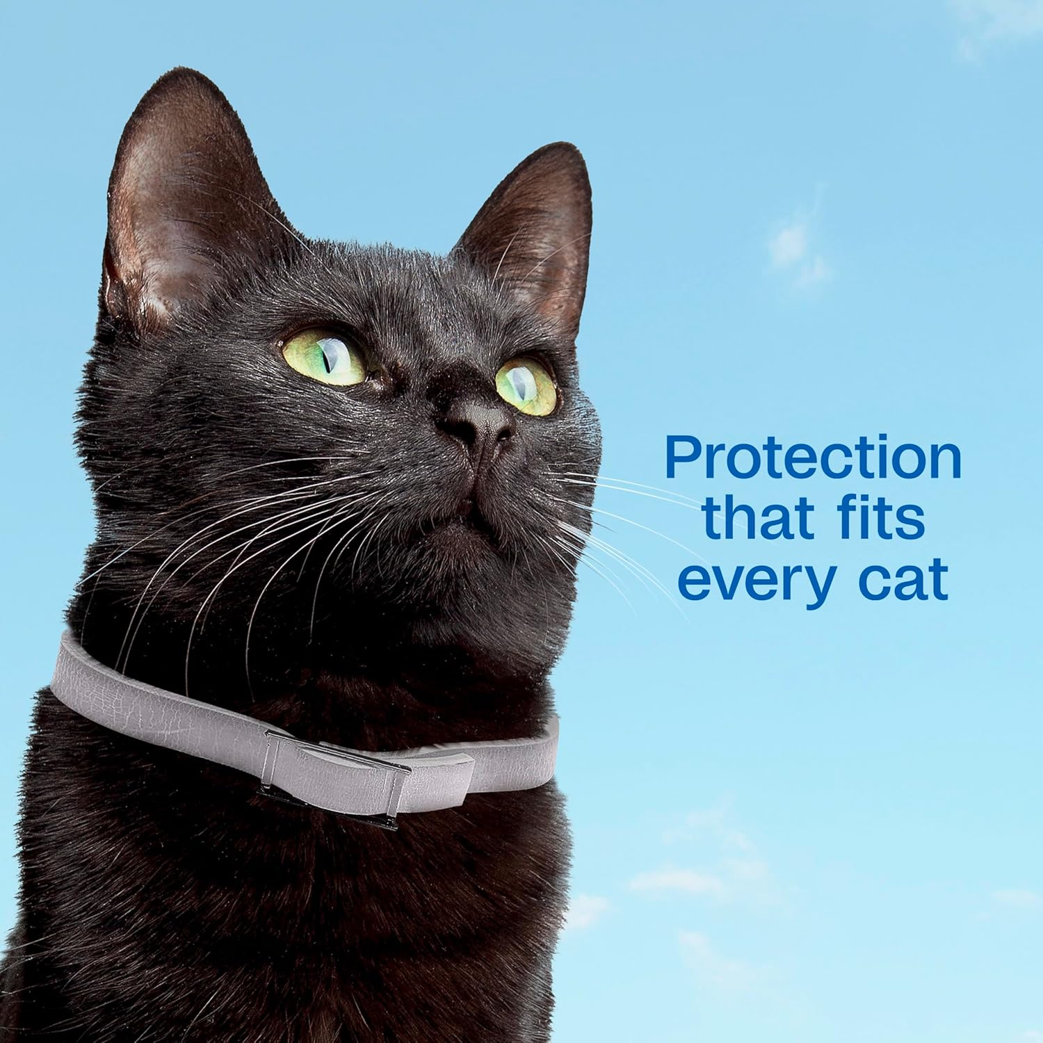 Adams Plus Flea & Tick Collar for Cats Water-Resistant Up to 7 Months Protection 2PCK Paw and Tail Supply
