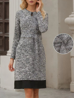 Elegant Long Sleeve Belted Shift Dress with Ruffled Hem