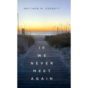 If We Never Meet Again - Hardcover