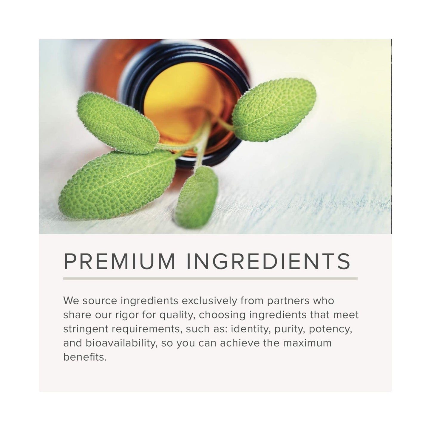 NusaPure Chlorophyll 200:1 Extract, 400 mg 60 Veggie Caps, Non-GMO, Vegan, Sodium Copper Chlorophyllin NusaPure