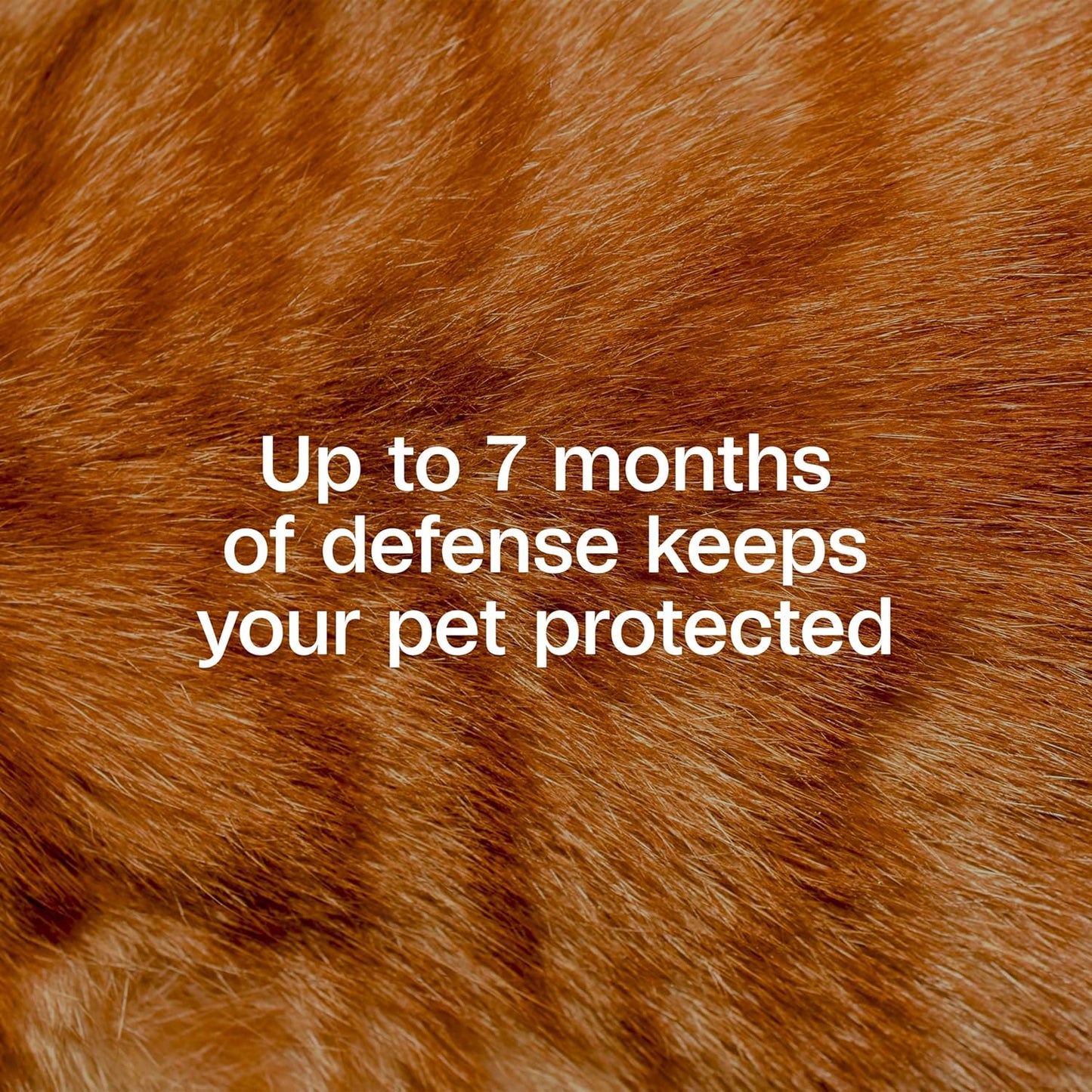 Adams Plus Flea & Tick Collar for Cats Water-Resistant Up to 7 Months Protection 2PCK Paw and Tail Supply