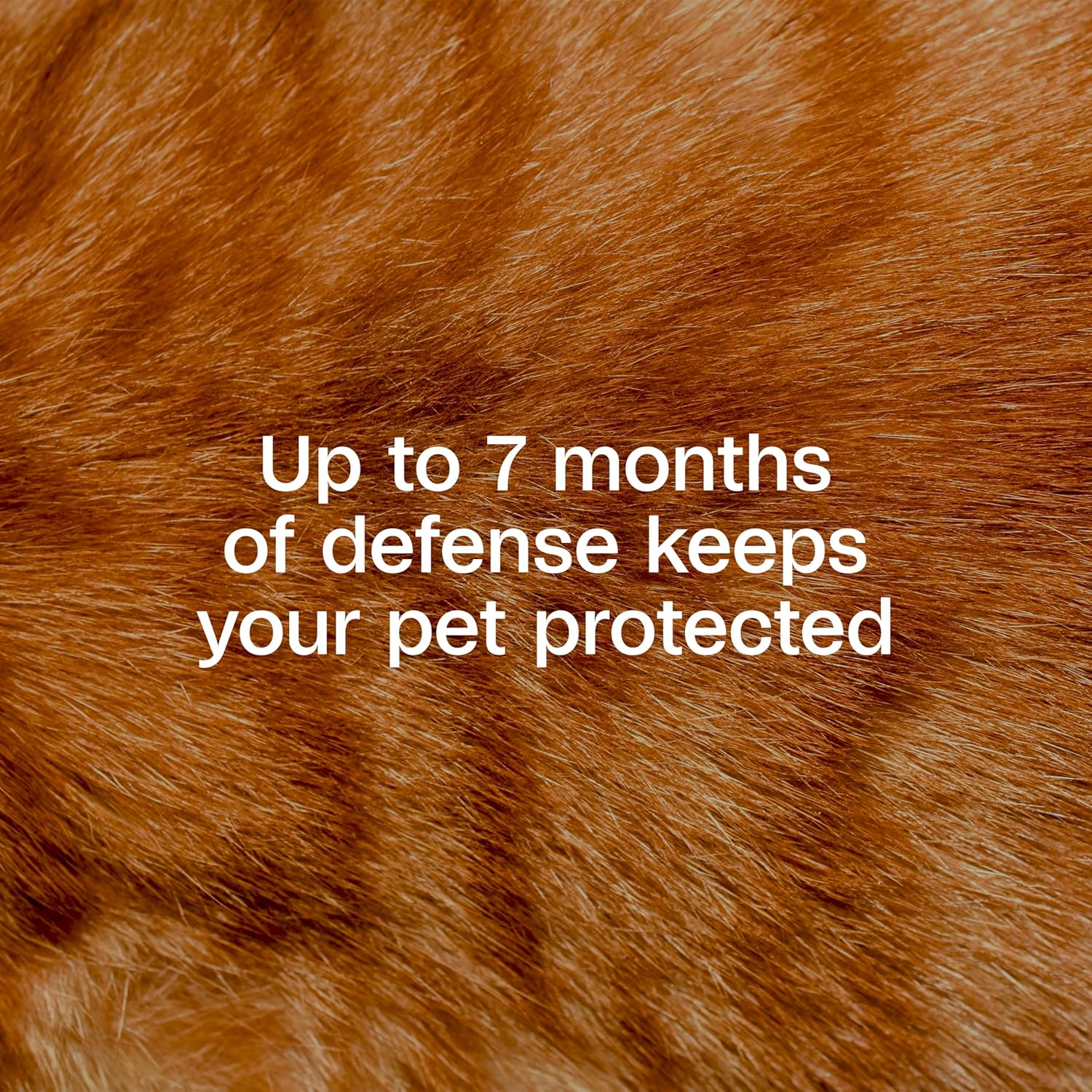 Adams Plus Flea & Tick Collar for Cats Water-Resistant Up to 7 Months Protection 2PCK Paw and Tail Supply