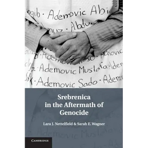 Srebrenica in the Aftermath of Genocide - Paperback
