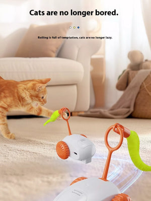Descriptive image text