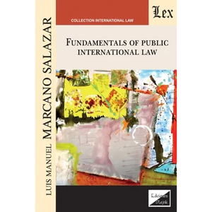 Fundamentals of Public International Law - Paperback