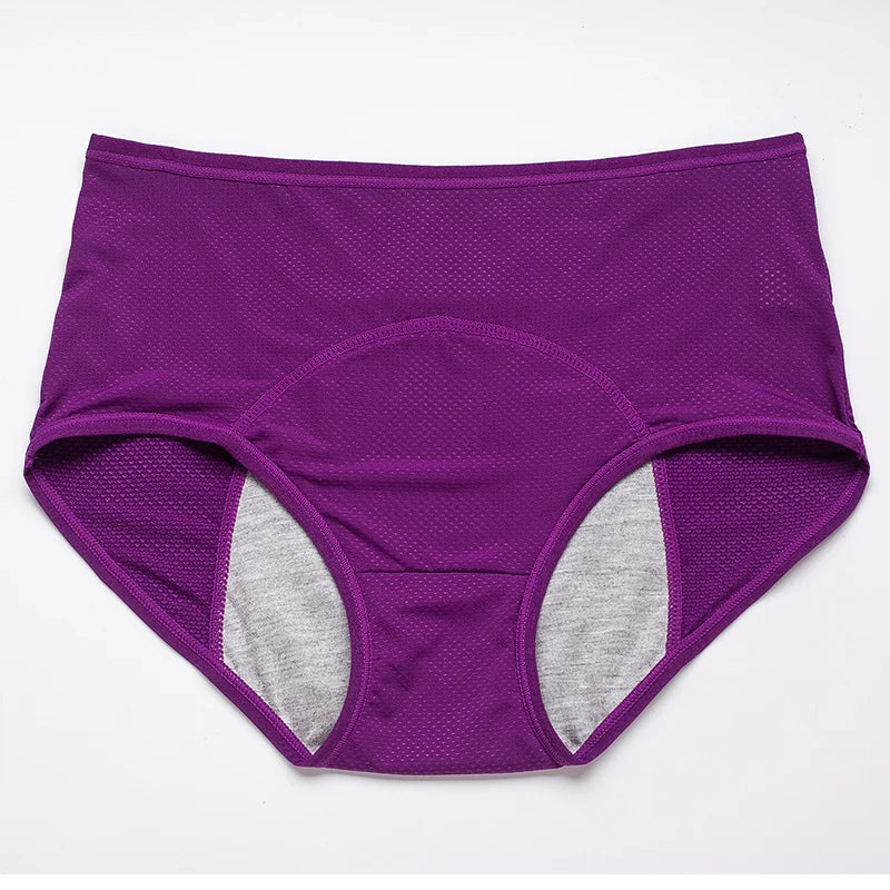 Menstrual Briefs Leak Proof Incontinence Environmetal Underwear Period Panties High Warm Female Women Sexy Pants eprolo