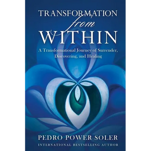 Transformation from Within: A Transformational Journey of Surrender, Discovering, and Healing - Paperback