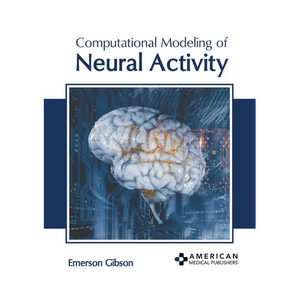 Computational Modeling of Neural Activity - Hardcover