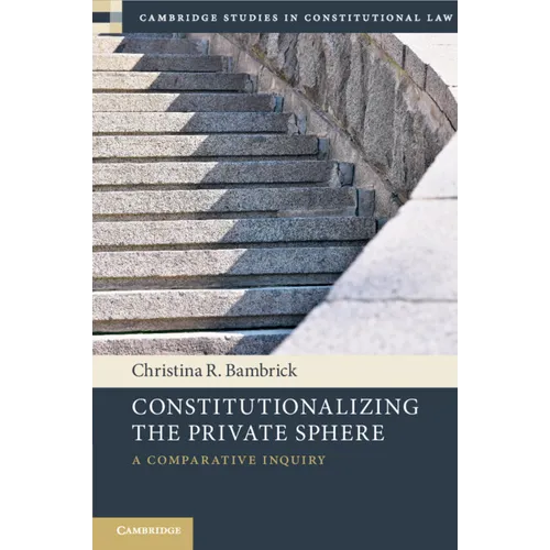 Constitutionalizing the Private Sphere: A Comparative Inquiry