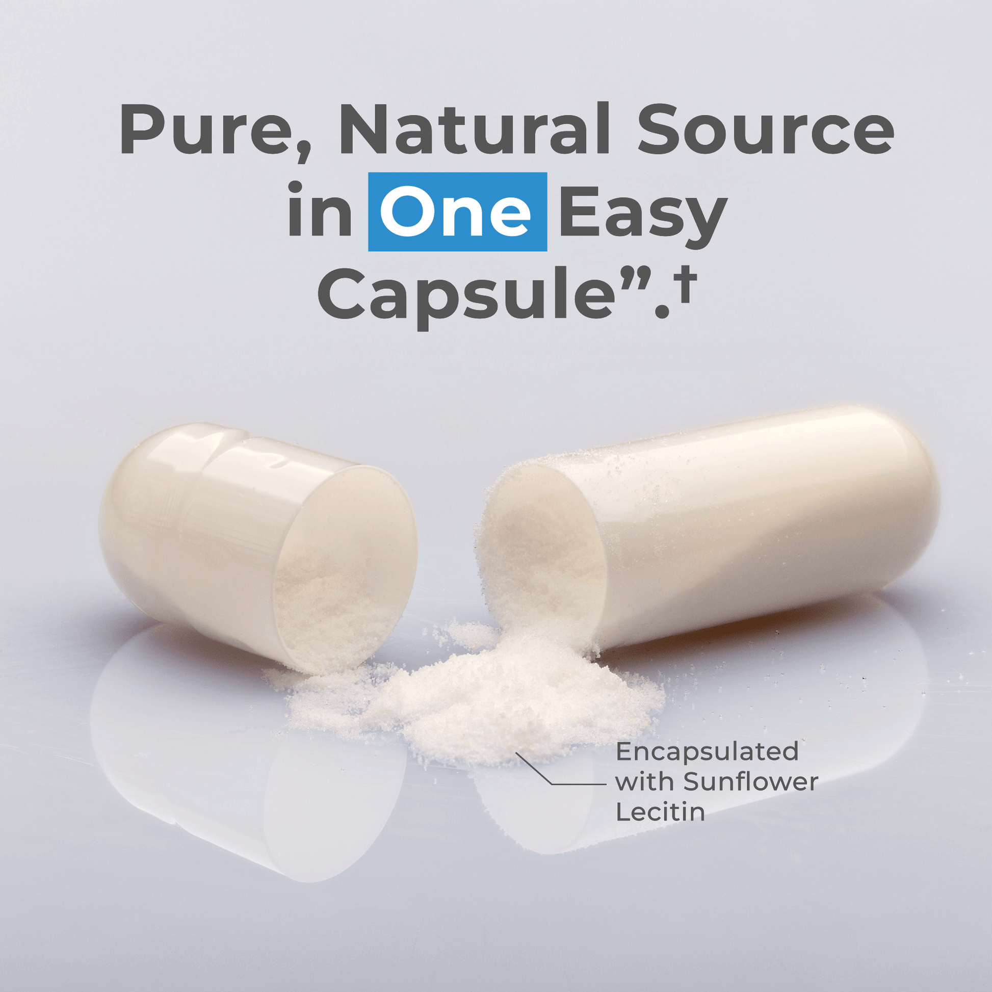 Liposomal Spermidine Capsules Neurogan Health