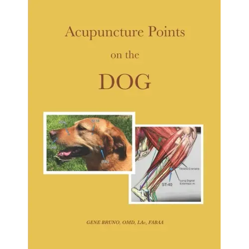 Acupuncture Points on the Dog