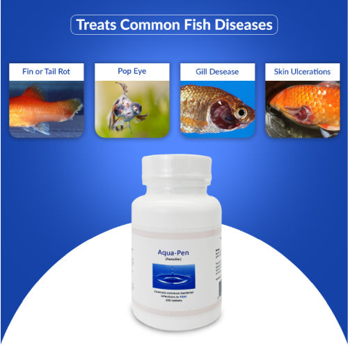 Fin Pen 250mg Capsules for Aquarium Fish – 100 Count – Water Care Support Paw and Tail Supply