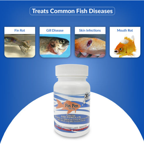 Fish Pen 500mg Capsules for Aquarium Fish – 30 Count – Water Care Support Paw and Tail Supply