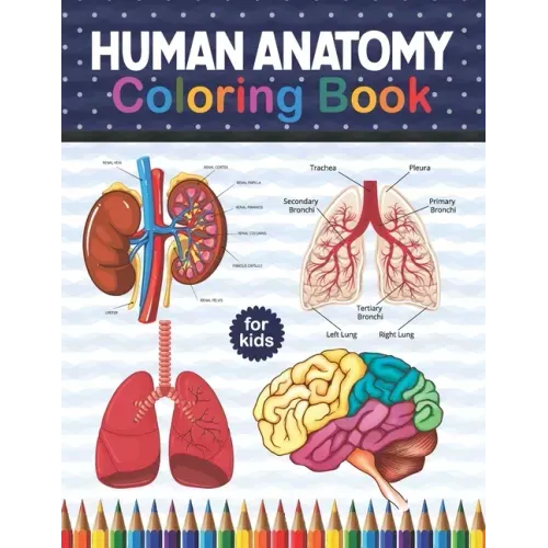 Human Anatomy Coloring Book For Kids: Human Body Anatomy Coloring Book For Kids, Boys and Girls and Medical Students. Human Brain Heart Liver Coloring