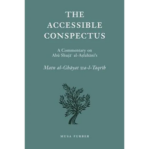 The Accessible Conspectus - Paperback