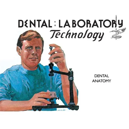 Dental Anatomy