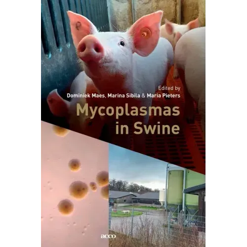 Mycoplasmas in Swine