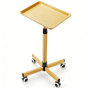 Heavy-Duty Adjustable Height Salon Cart with Large Aluminum Tray Mobile Service Trolley for Home Tattoo SPA