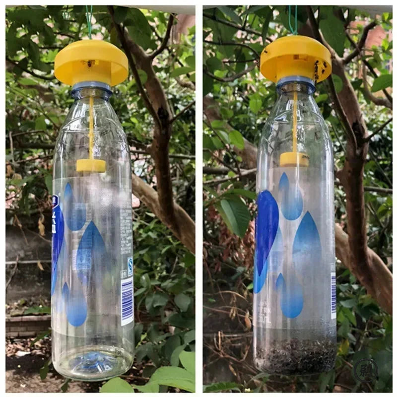 2PCS Fruit Killer Plastic Yellow Drosophila Trap Fly Catcher Pest Insect Control For Home Farm 6*6*2Cm