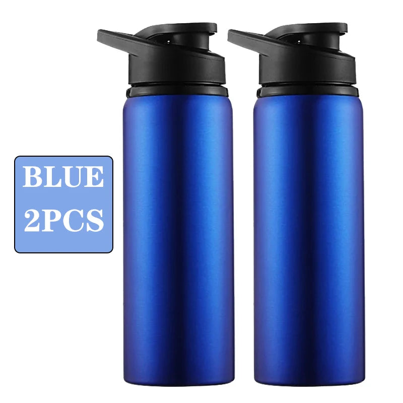 Metal Portable Water Bottle Leakproof Reusable Outdoor Sports Cup for Cycling Hiking Gym Halloween Gift Christmas Gift Travel