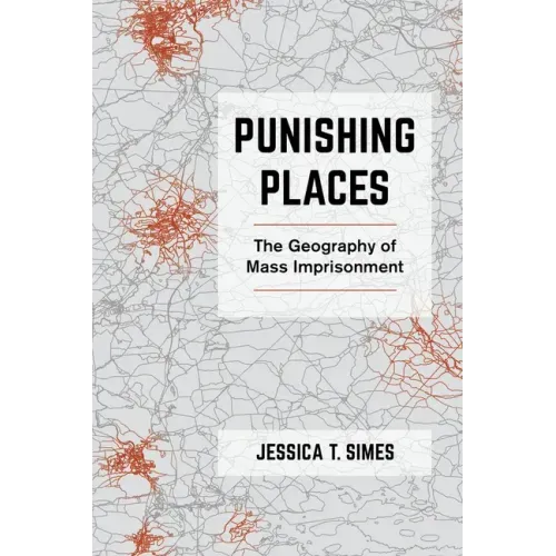 Punishing Places: The Geography of Mass Imprisonment - Paperback