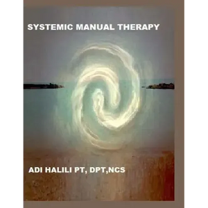Systemic Manual Therapy - Paperback