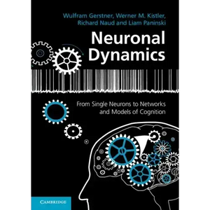 Neuronal Dynamics - Paperback
