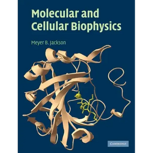 Molecular and Cellular Biophysics - Paperback